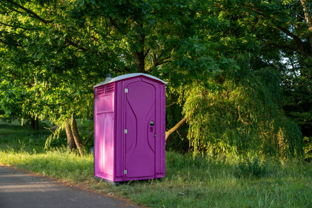 Best Affordable portable toilet rental  in Fowlerville, MI
